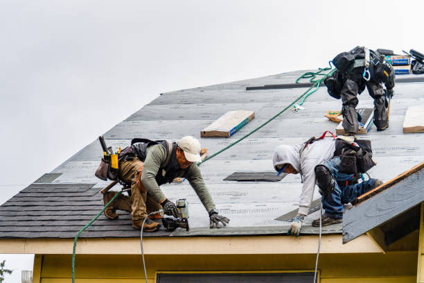 Professional Gutter Installation technician working in Edinburg, IL